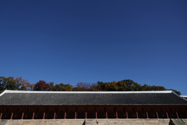 지선 전초전 벌어지는 '종묘'···정치권 공방에 언급량 10배↑ [데이터로 본 정치민심]