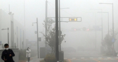 司正 바람에 세종관가는 '각자도생'···정책 품질 저하 우려