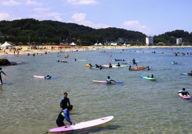 '서핑 성지' 양양, 주민 1명당 방문객 17명···"손님이 지역 경제 살렸다"