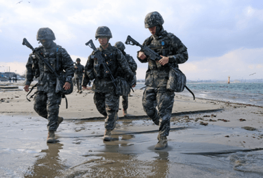 "제주도가 이렇게 될 줄이야"···해병대까지 투입된 공포의 '차봉지' 또 나왔다