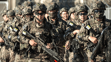 軍, 상비예비군 2040년까지 5만명으로 확대