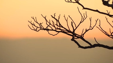 내일 종일 찬 바람…모레 영하권 초겨울 추위