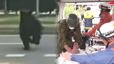 곰 습격에 올해만 12명 사망…비상 걸린 일본