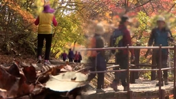 단풍객 몰리는 가을산 '조난 주의'…"무리한 산행 금물"