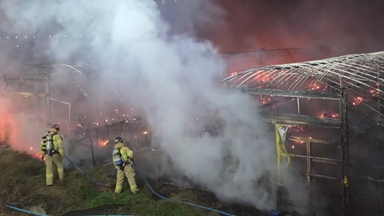 세종 양계장에서 화재…5천여 마리 폐사