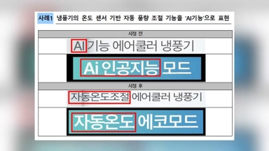 AI기능 없는데 과장 광고…'AI워싱' 사례 20건 적발