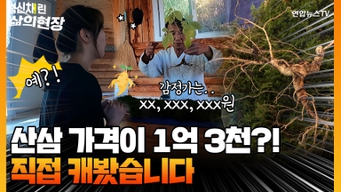 산삼 캐면 1억 번다고?…직접 가서 캐봤더니 [정신채린! 삶의현장]