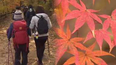 완연한 가을 단풍 절정…북한산 나들이객 북적