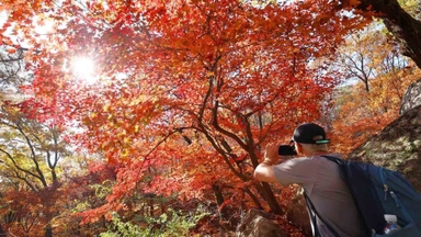울긋불긋 가을빛 번지는 북한산…단풍 나들이 북적