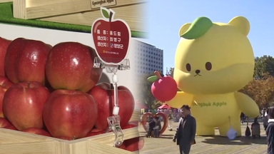 '꼭지 달린 사과' 사세요…경북사과 홍보행사