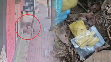 '길거리에 툭'…필로폰 유통한 조선족 일당 검거