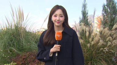 [날씨] 수능일 한파 없이 예년보다 포근…서울 17도