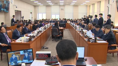 제헌절, 공휴일 부활 법안…행안소위 통과