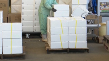 "중국, 일본에 일본산 수산물 수입 중지 통보"