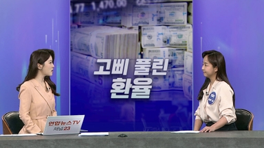 [경제쏙쏙] 고착화된 '고환율'…50만원짜리 크리스마스 케이크?