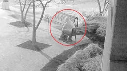 미 의회 폭동 '폭탄 설치' 용의자 5년만에 체포