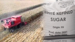 세계식량가격지수 3개월 연속 하락…설탕은 5년 만에 최저