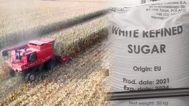 세계식량가격지수 3개월 연속 하락…설탕은 5년 만에 최저