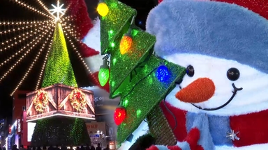 도심 곳곳이 빛으로 가득…빛 축제에 물든 부산