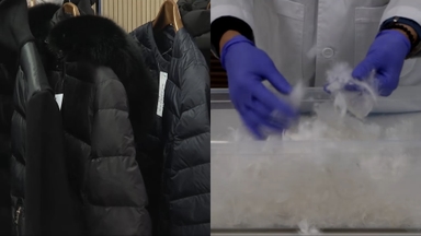 '무늬만 구스다운' 무더기 적발…사실은 오리털