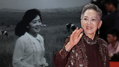 원로 배우 김지미 미국서 별세…향년 85세