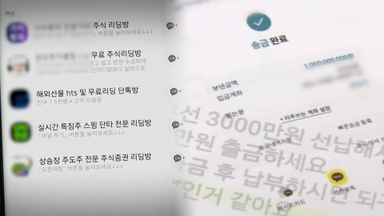 법 위에 신종사기…리딩방엔 적용 안되는 지급정지