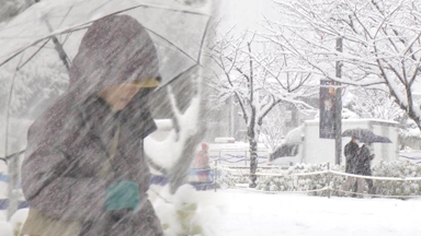초겨울 추위 기승…주말 '대설특보' 최고 10㎝ 눈
