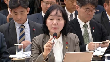 "개인정보 중대위반시, 매출 10% 징벌적 과징금"