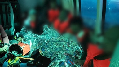 제주 남쪽 해상서 상선원 5명 추락…전원 구조