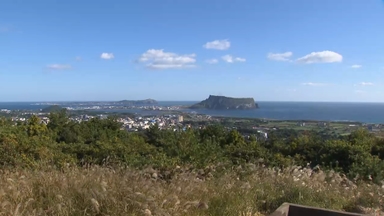 제주 제2공항 예정지 성산읍 토지규제 해제 검토