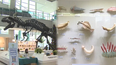 궂은 날씨에 실내로…도심 자연사박물관 북적