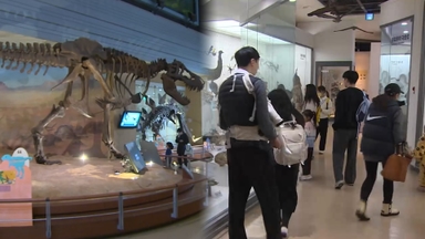 도심 속 과학 나들이…주말 자연사박물관 북적