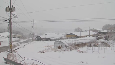 [속보] 강원(홍천·춘천·인제) 충남(계룡), 대설주의보 발령