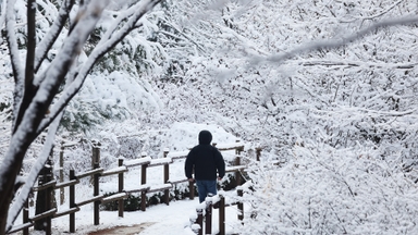 [속보] 원주 등 강원 4곳 대설주의보...포천·가평은 해제