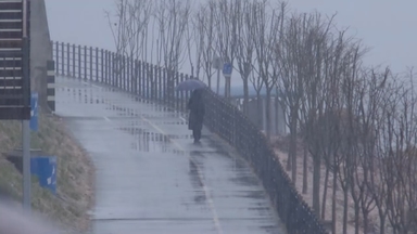 [속보] 강한 눈구름대 남동진...수도권 영향 점차 벗나