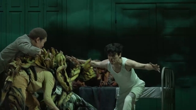 '라이프 오브 파이'…박정민이 펼치는 감동의 무대