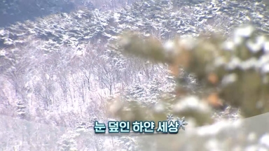 [영상구성] 눈 덮인 하얀 세상