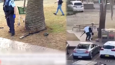 시드니 해변 총격에 16명 사망…"유대인 표적"