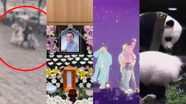 [핫클릭] 무면허 킥보드에 쓰러진 엄마…"의식 찾았지만 기억상실" 外