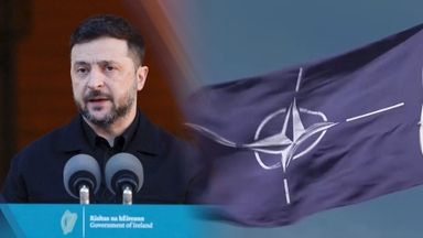 우크라 "안전보장시 나토 포기"…'전선 동결' 역제안