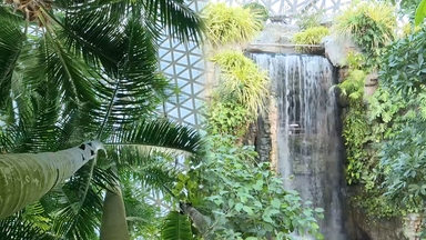 한파 잊은 초록빛 정글…거제 식물원 나들이객 '북적'