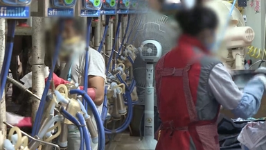 국내 체류 외국인 170만명 육박… '또 역대 최대'