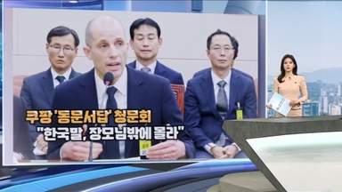 [현장한컷] 쿠팡 '동문서답‘ 청문회  ”한국말, 장모님밖에 몰라“