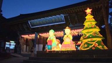 "종교 간 화합의 빛"…조계사에서 트리 점등