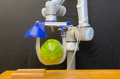 감싸서 지지하는 덩굴 로봇형 '소프트 로봇 그리퍼' 개발