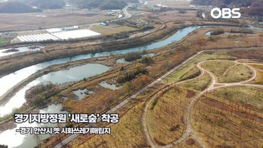 [경인영상터치] 버려진 땅의 부활...안산 매립지에 '새로숲' 피어난다