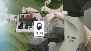 "홍잠, 체중 감소 효과 확인…기능성 원료 추진"