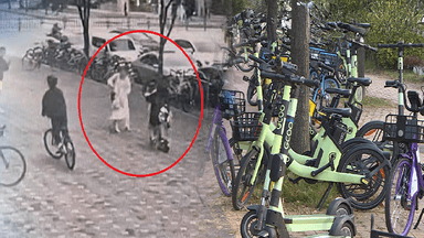 딸 지키다 뇌 손상…'무면허 킥보드' 책임 공백