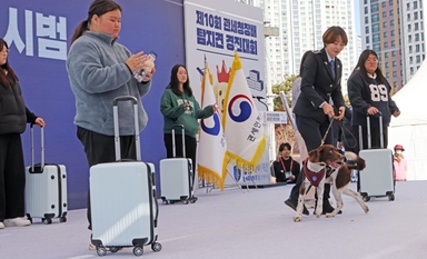 유기견 댕댕이 ‘코코’의 꿈… '탐지견 경진대회’
