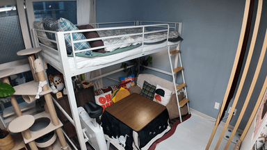 "집주인이 관리비도 내줘요" 서울 월세가 7만원 [집 나와라 뚝딱!]